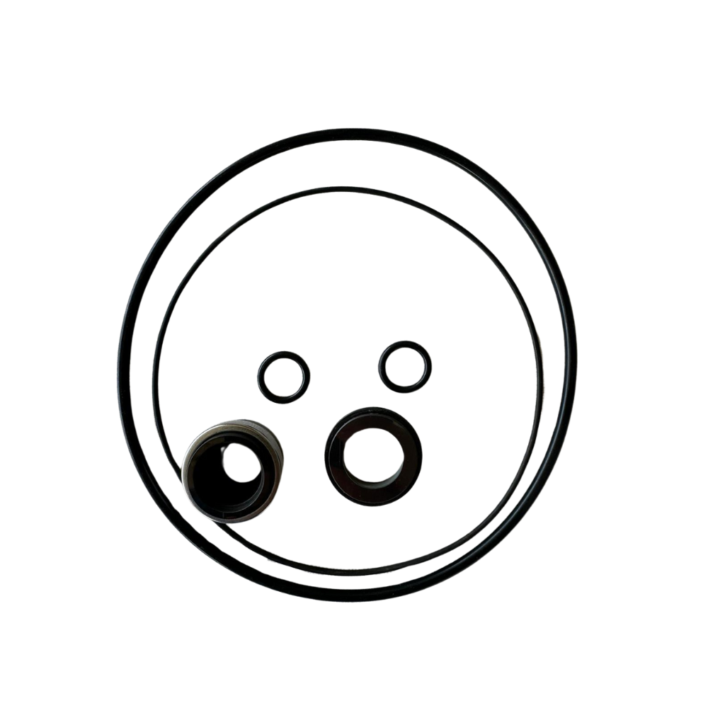 Seal and Gasket Replacement Kit - BP Pumps
