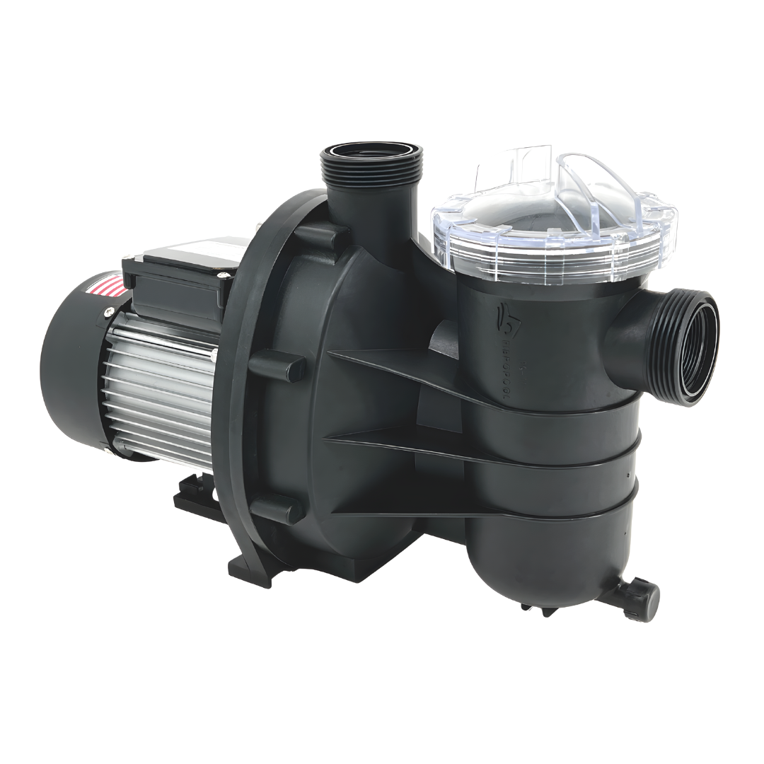 ABG020 1/5 HP Single Speed Pump for Above Ground Swimming Pools and Spas, 115V