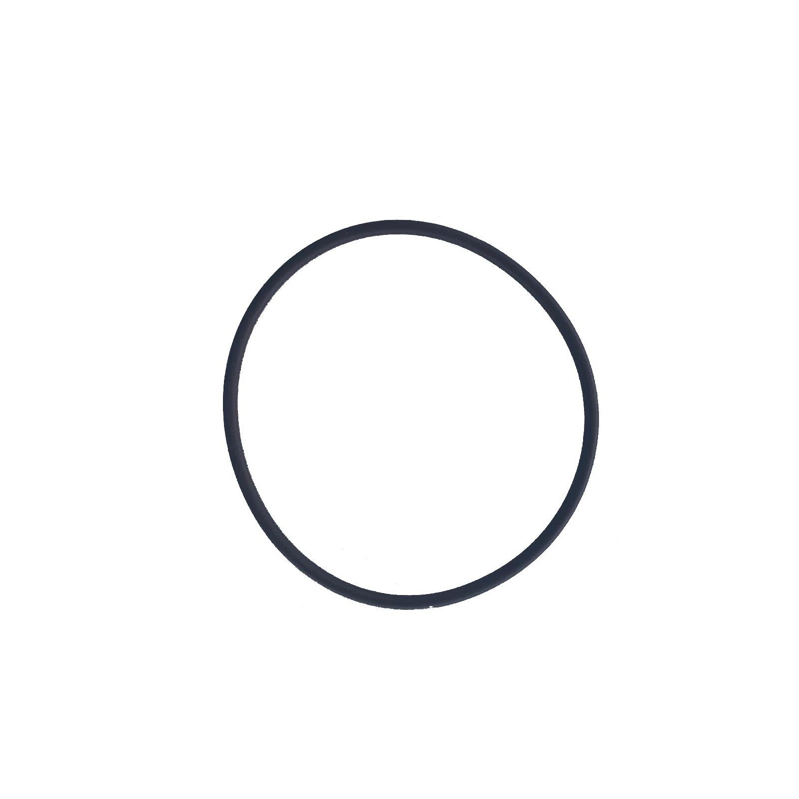 FC200/FC220 Chlorinator O Ring