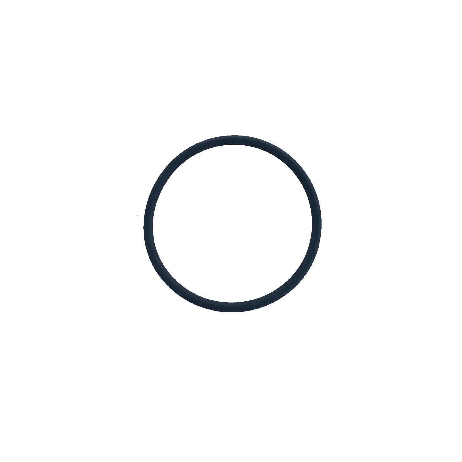 O Ring for Small fibropool Chlorinators FC 100 and FC 110