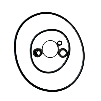 Seal and Gasket Replacement Kit - ABG Pumps