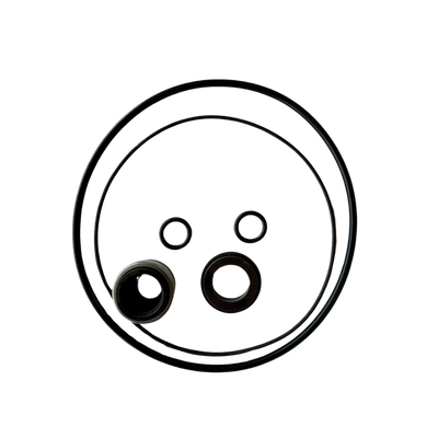 Seal and Gasket Replacement Kit - BP Pumps