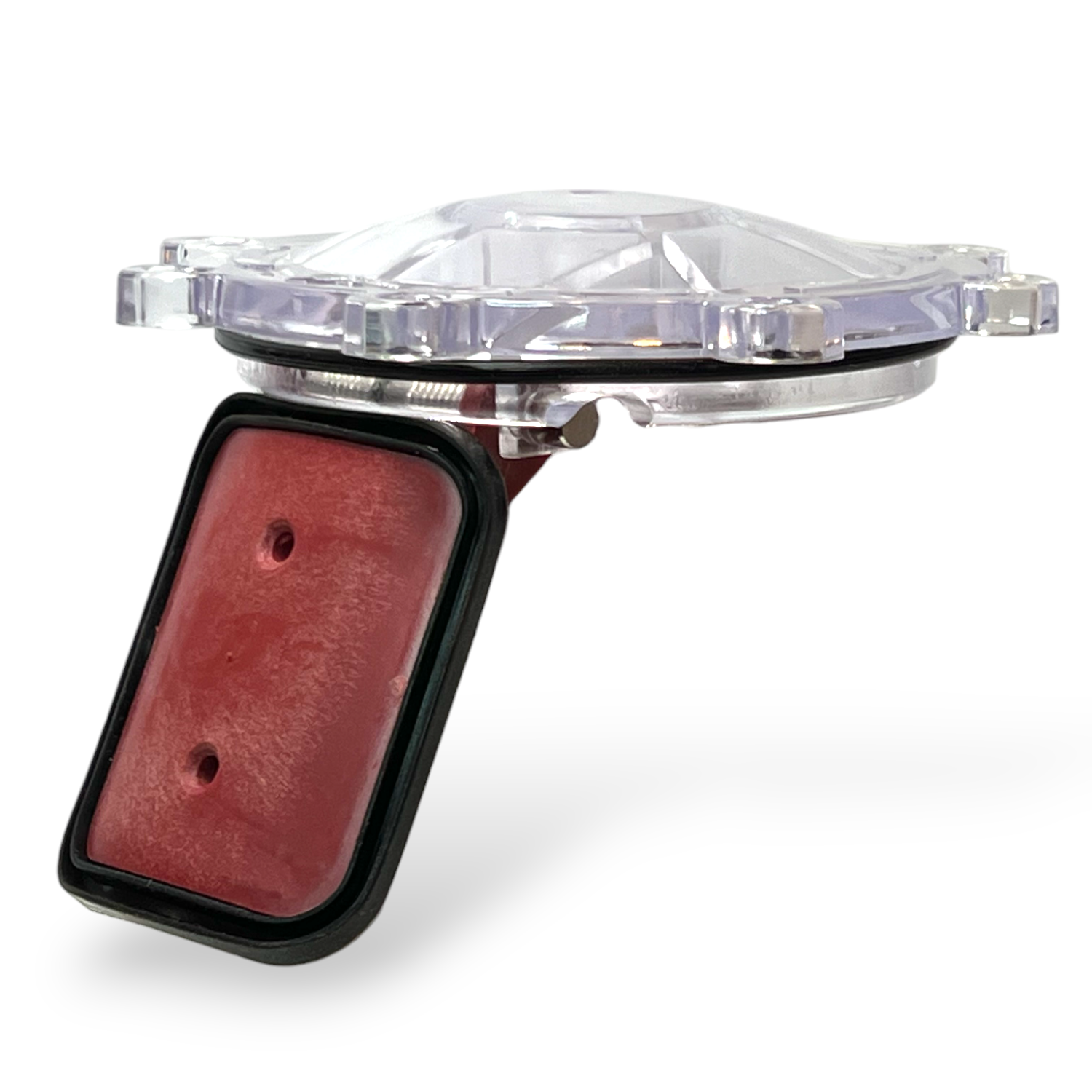 Check Valve Rebuild Kit – Fits FibroPool & Jandy Check Valves